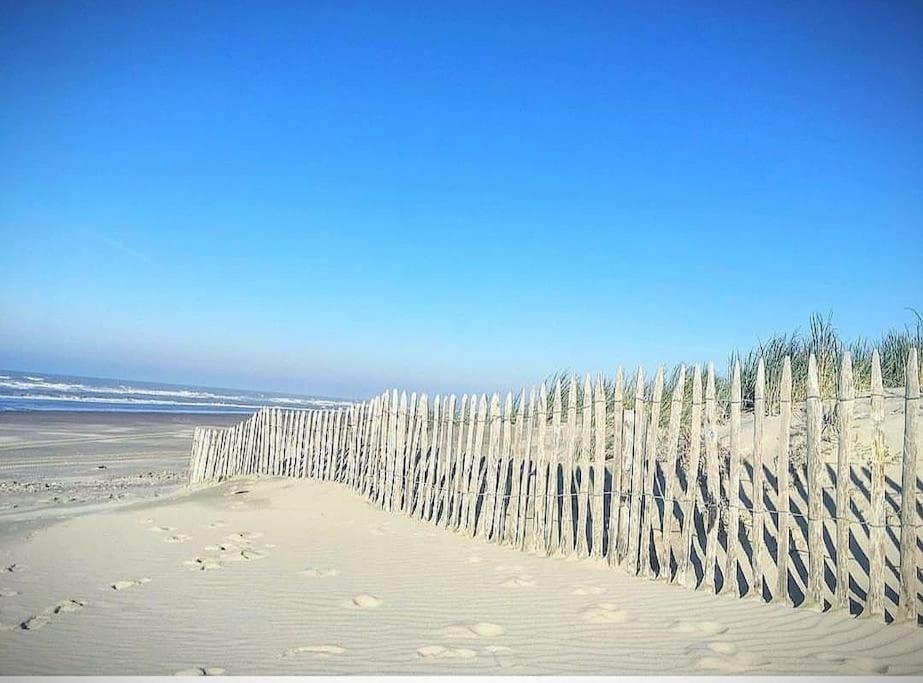 Superbe Apt Cosy A 500M De La Plage Pour 4 Pers Fort-Mahon-Plage Dış mekan fotoğraf